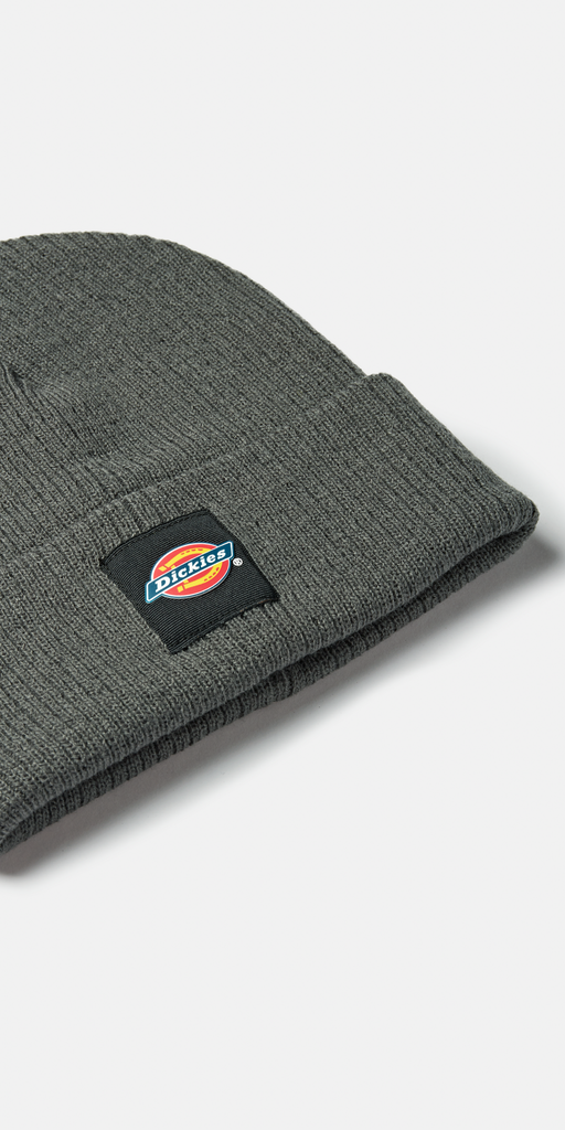 EVADALE beanie (DT8003) - Dickies