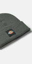 EVADALE beanie (DT8003) - Dickies