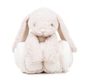 Rabbit and blanket - Mumbles