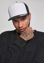 Classic Trucker cap - FLEXFIT