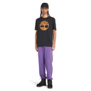 Brand tree organic t-shirt - Timberland