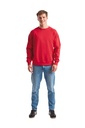 Raglan Sleeve Sweatshirt (62-216-0) - Fruit of the Loom