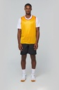 Multi-sports reversible bib - PROACT®