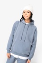 Eco-friendly ladies' raglan hooded sweatshirt - Native Spirit