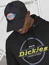LOGO cap (HA450) - Dickies