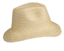 Panama hat - K-up