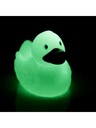 Squeaky duck luminescent · 2