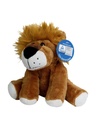 Zoo animal lion Ole · 2