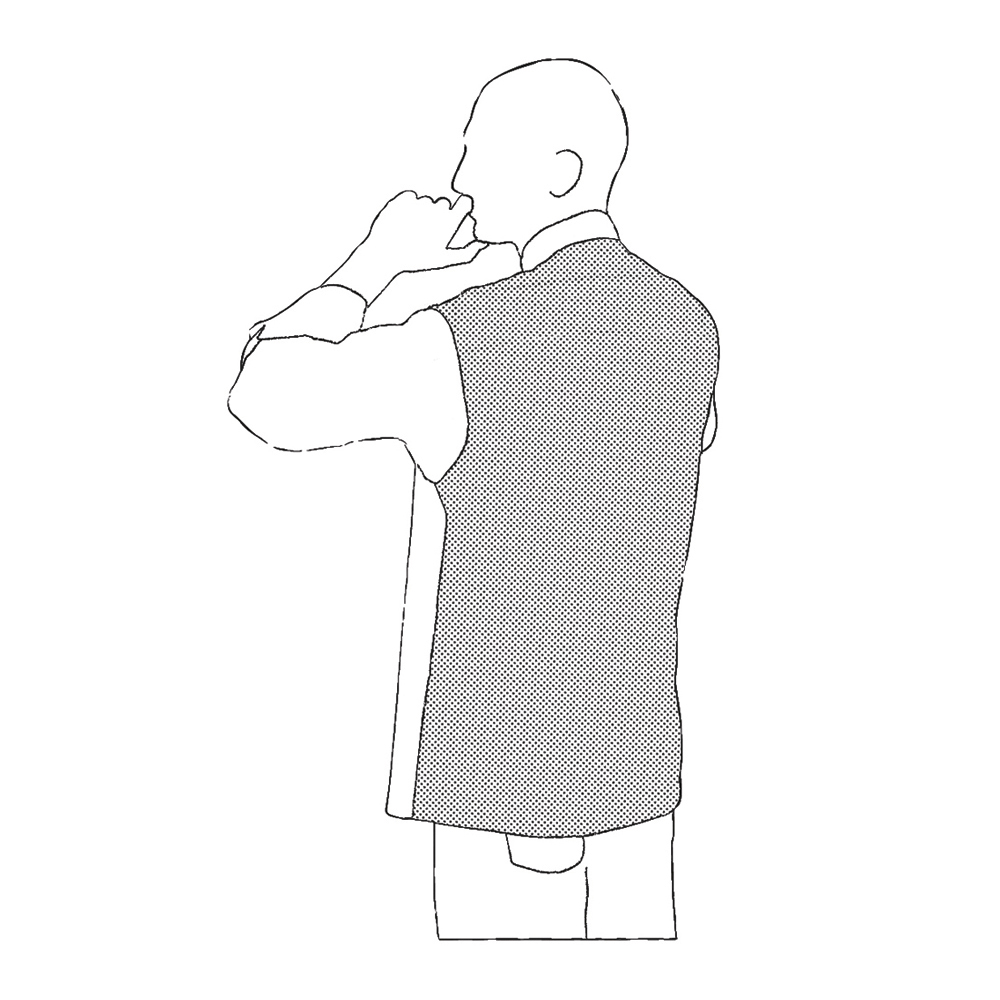 Vista 2
