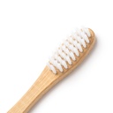 Angora - 4