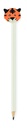 MO2929-06 - side