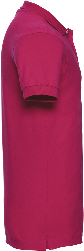 Fuchsia - 11