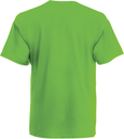 Lime - 13