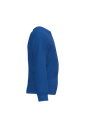 Royal Blue - 11