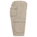 Beige - 3