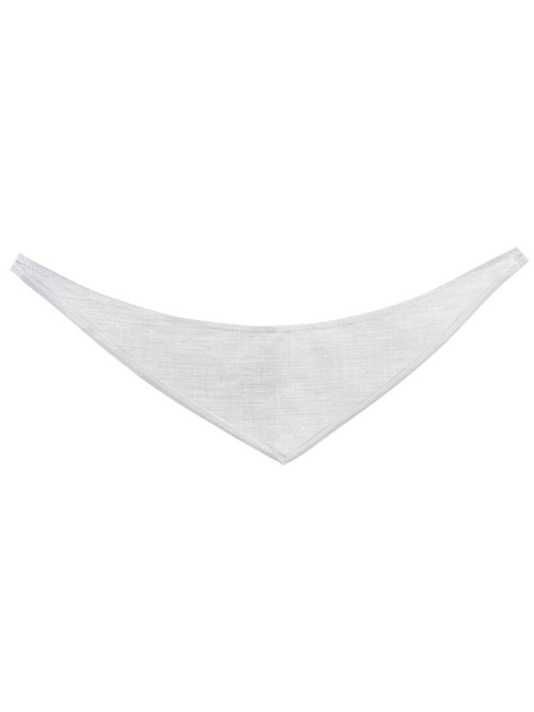 Bandana/ triangle scarf