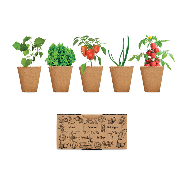SALAD - Salad Growing Kit