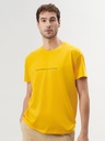 T-shirt in cotone essenziale