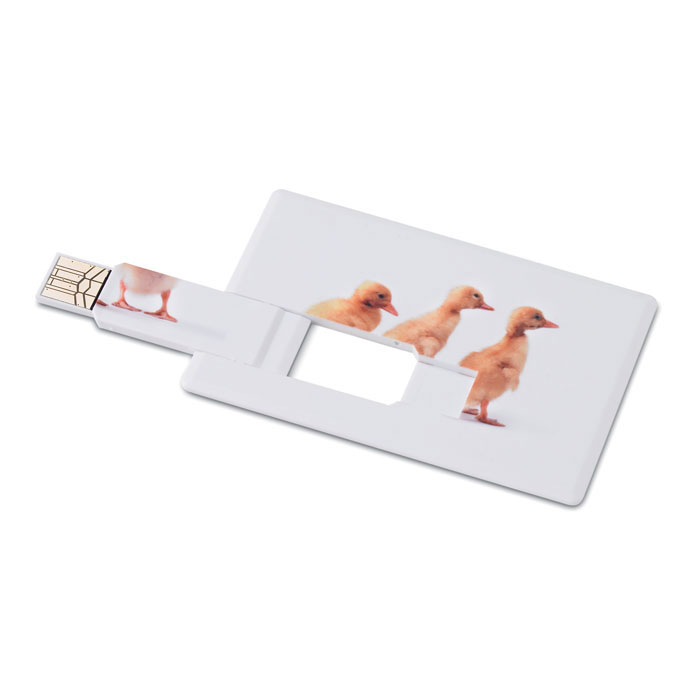 MEMORAMA - Creditcard. USB Flash 16gb