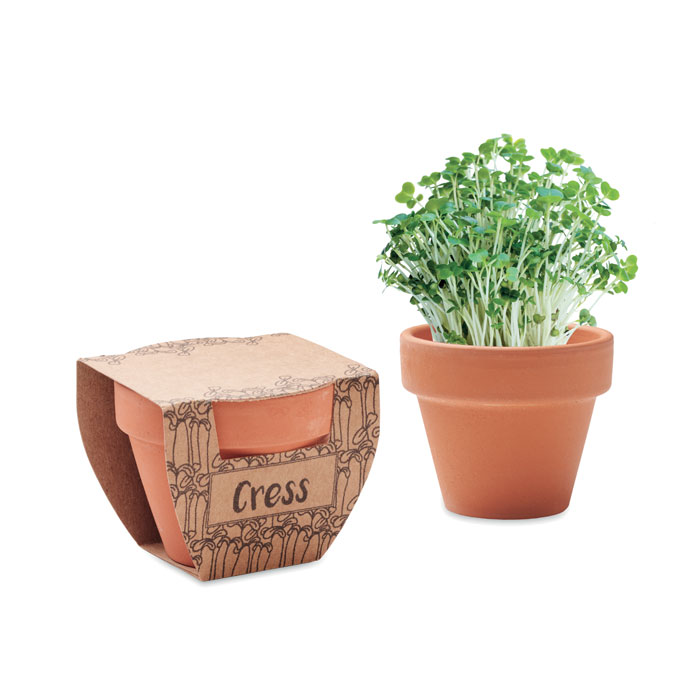 CRESS POT - Terracotta Pot Cress Seeds