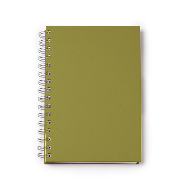 Notebooks RANIC