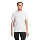 VORTEX - RAGLAN T-SHIRT