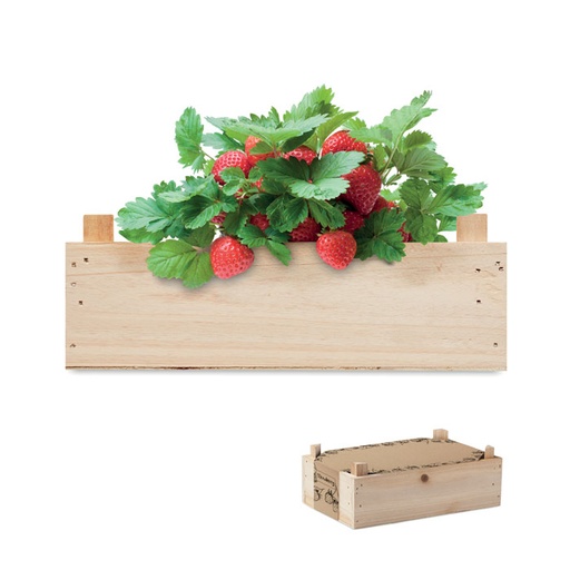 [MO6506] STRAWBERRY - Strawberry Kit in in Legno Crate
