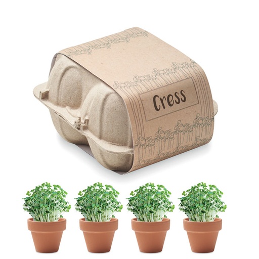 [MO6886] CRESS - Egg Scatola Growing Kit