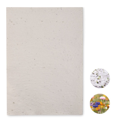 [MO6914] ASIDI - A4 Fiori Selvatici Seed Carta Sheet