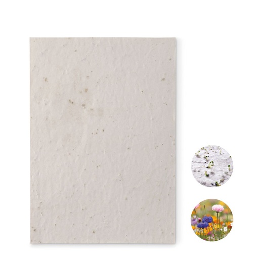 [MO6915] ASIDE - A5 Fiori Selvatici Seed Carta Sheet