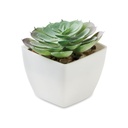 ARTIECHE - Mini pianta artificiale