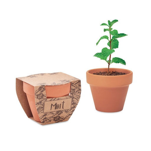 [MO2218] MinT POT - Terracotta Pot Mint Seeds