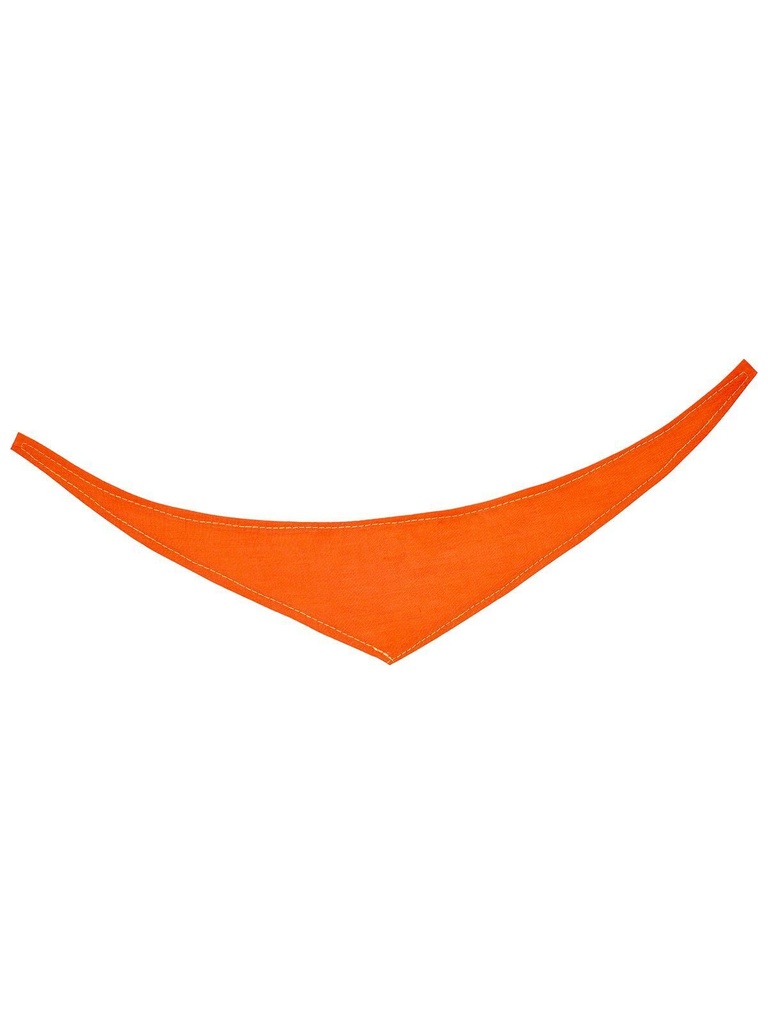 Bandana/ triangle scarf