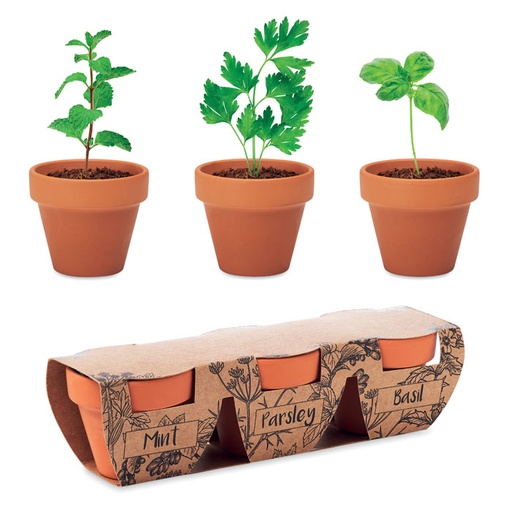 [MO6145] FLOWERPOT - Terracotta 3 Herb Pot Set